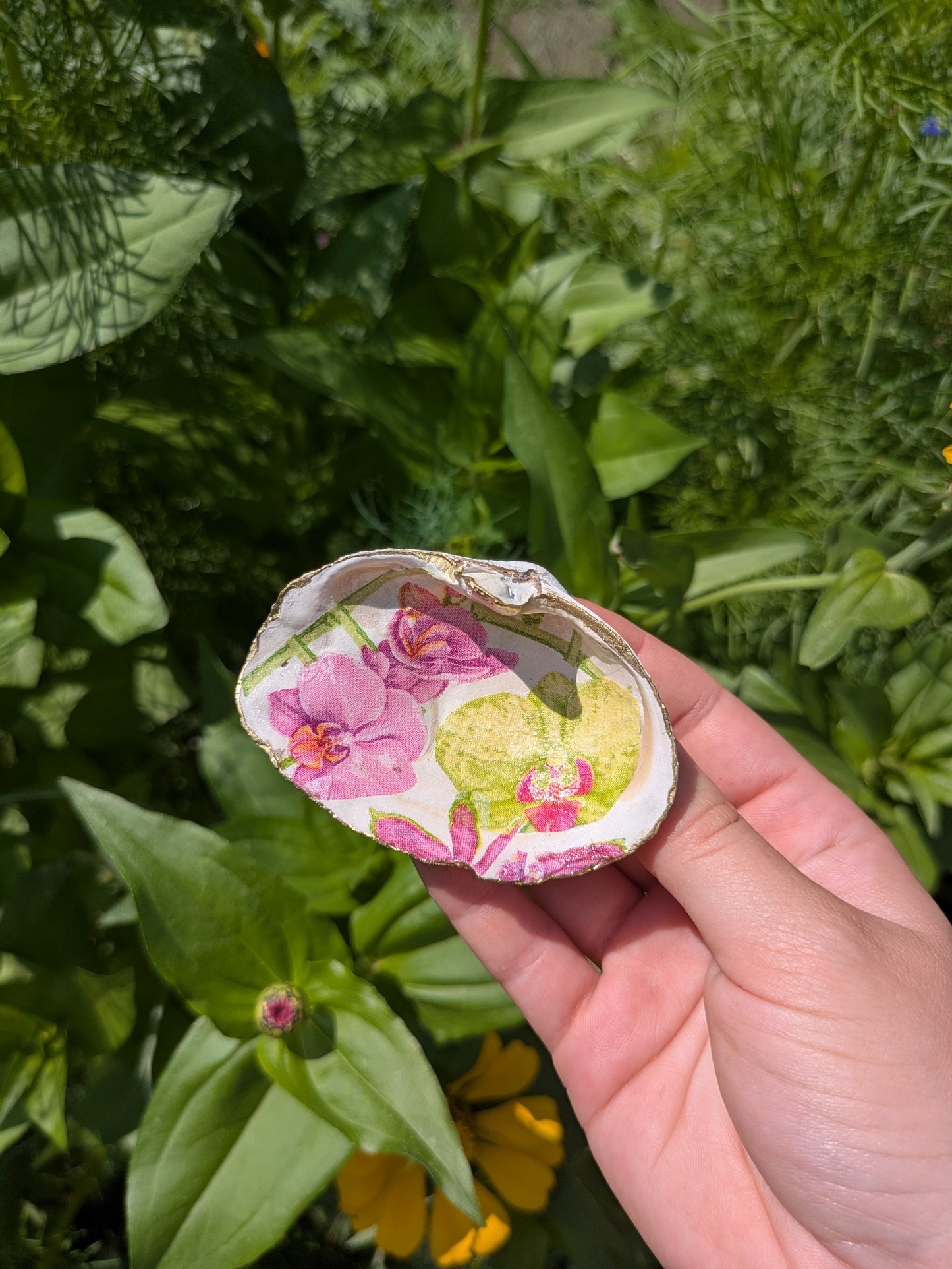 Orchid Clam Shell Hair Clip