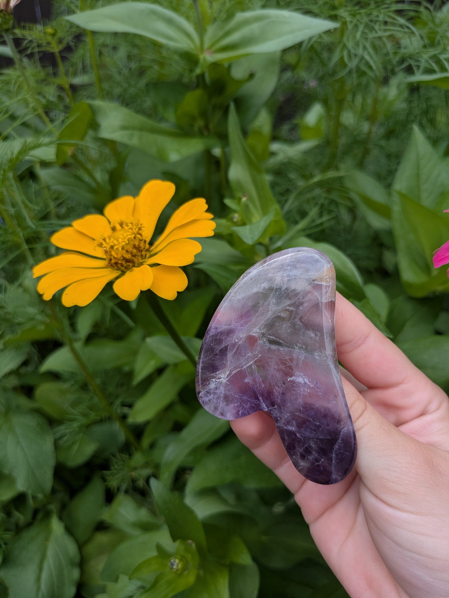 Amethyst Gua Sha