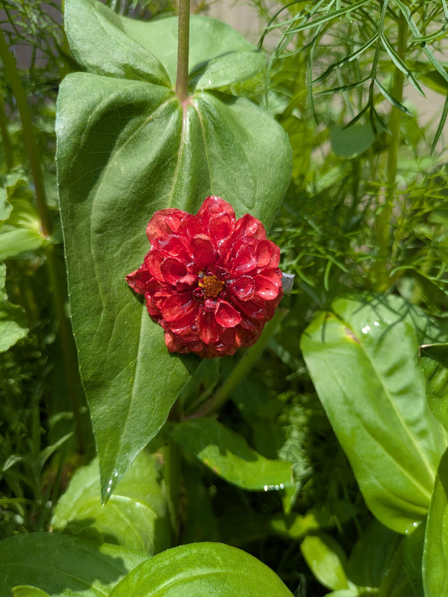 Small Red Dahlia Hair Clip