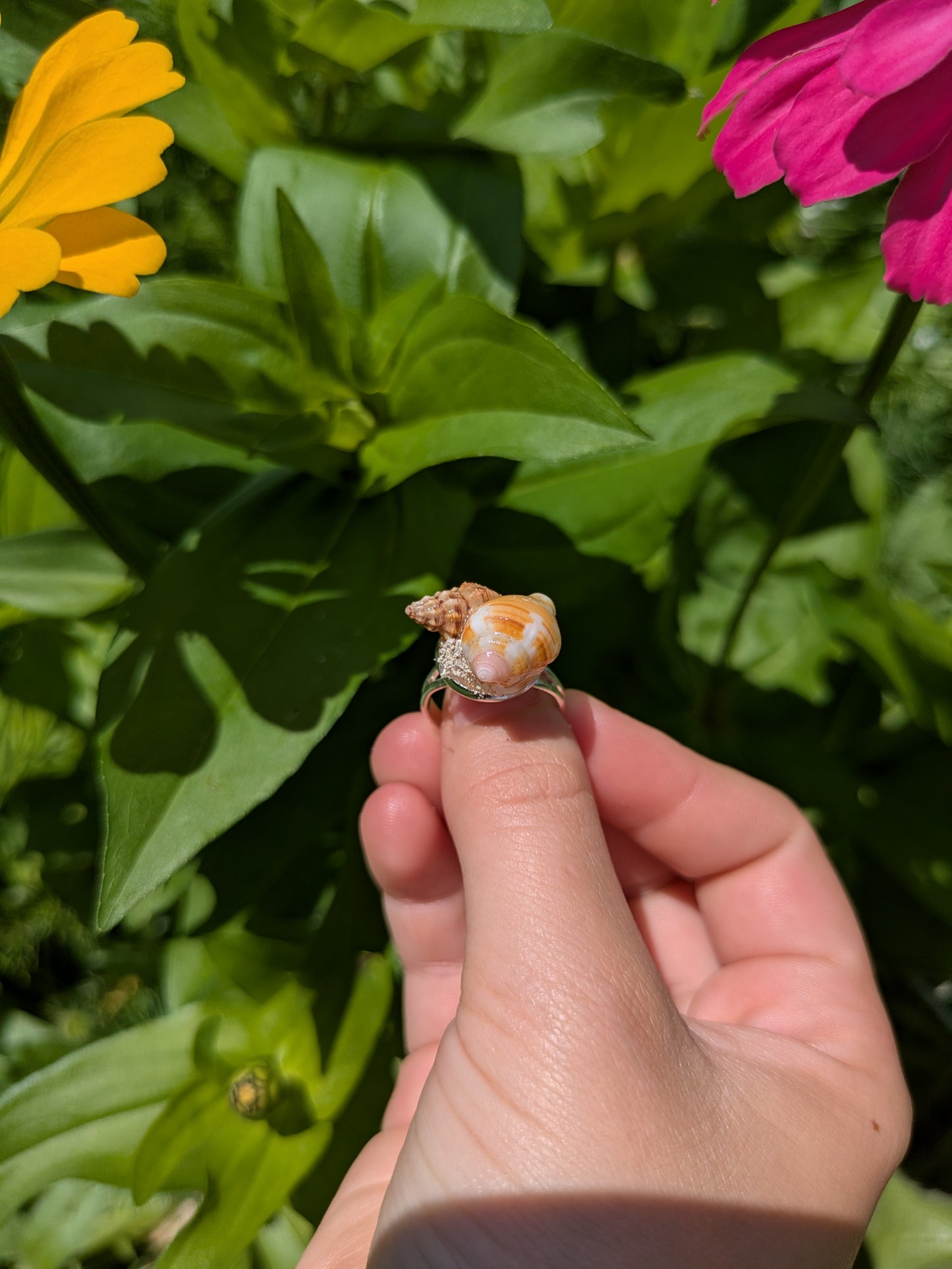 Double Spiral Shell Adjustable Silver Ring