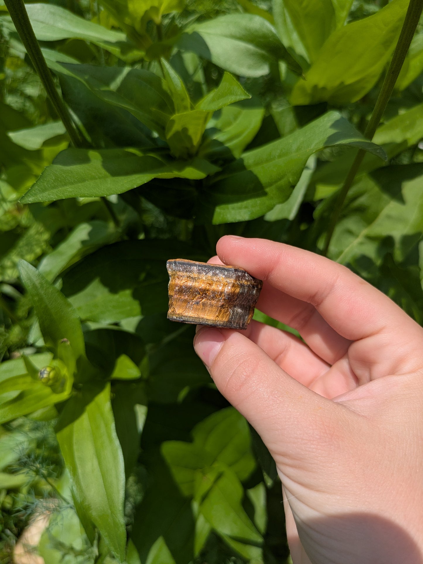 Raw Tigers Eye Stone