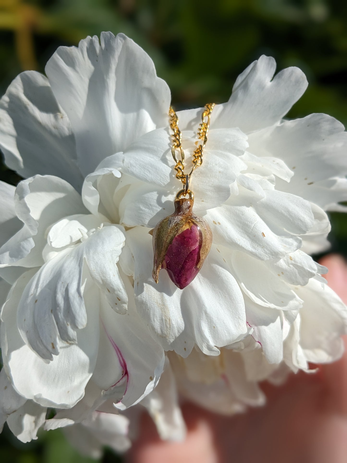 Rose Hip Gold Choker