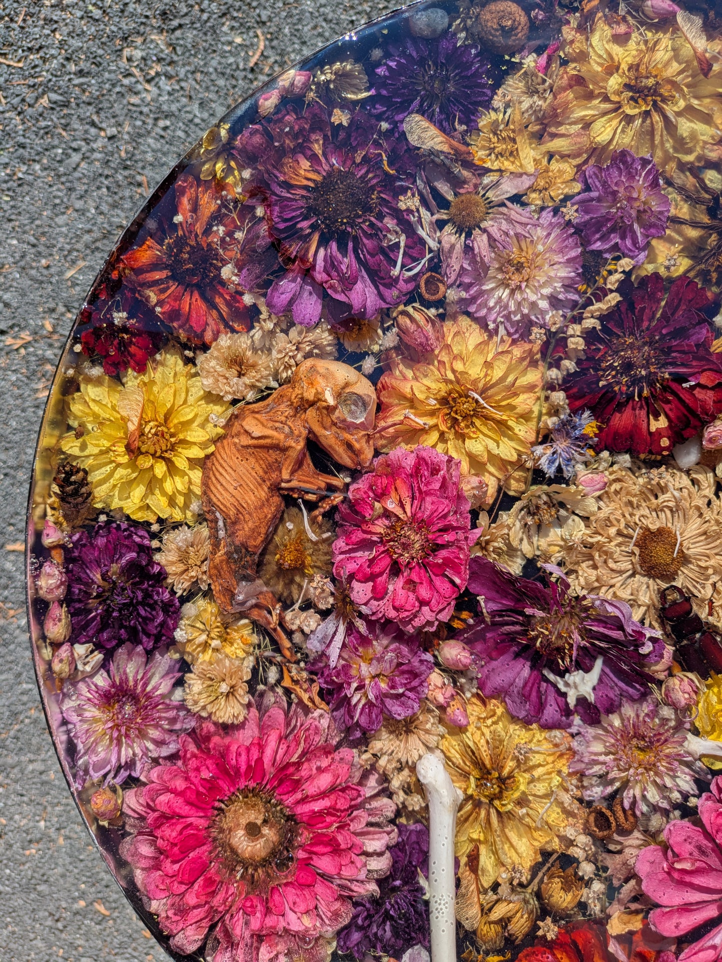 Zinnia Oddity Table 17in tall