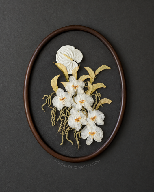 Flora in Full | Walnut Stain | 16x20 & 11x14 | Oval Frame