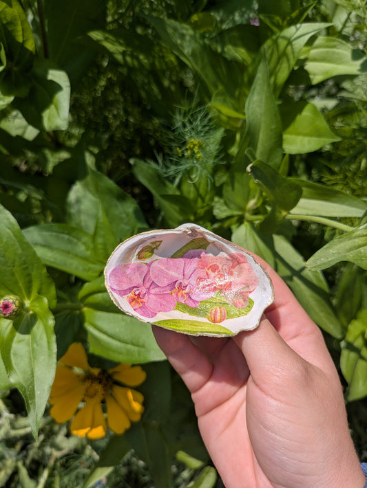 Orchid Clam Shell Hair Clip