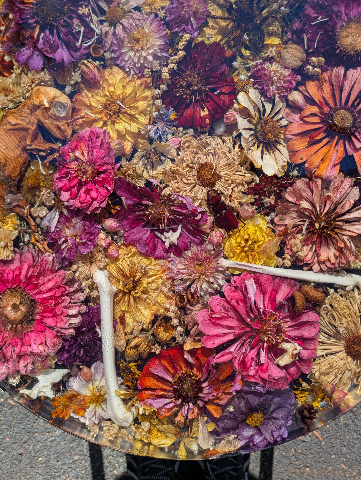 Zinnia Oddity Table 17in tall