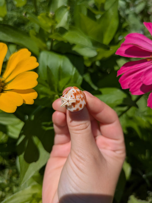 Natica Shell With Star Fish Adjustable Silver Ring
