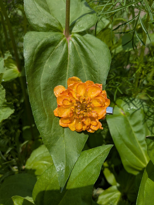 Yellow Dahlia Hair Clip