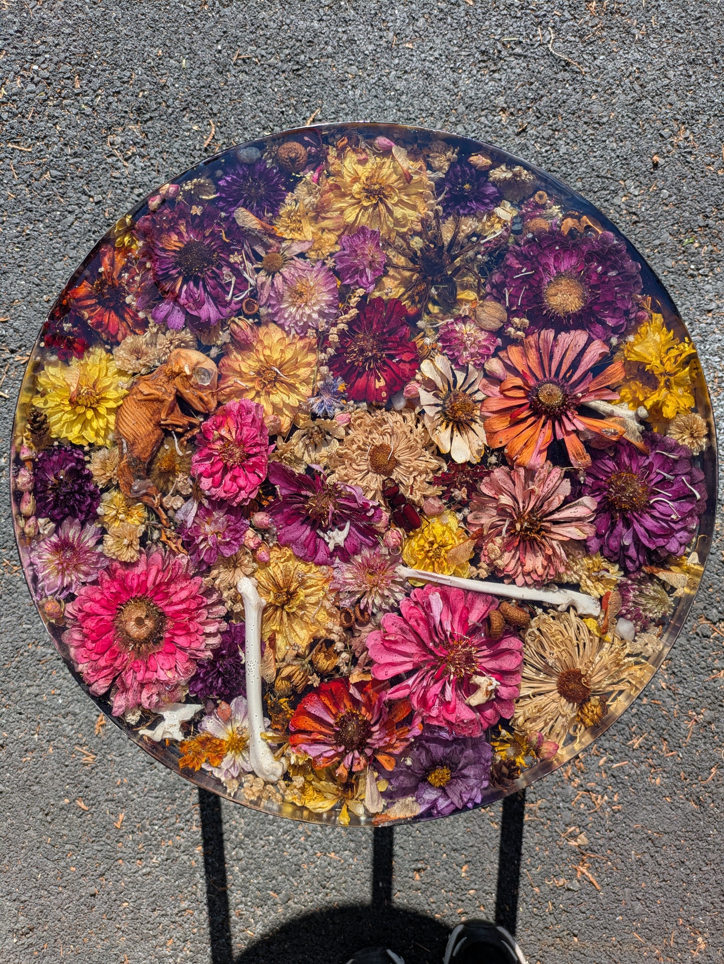 Zinnia Oddity Table 17in tall