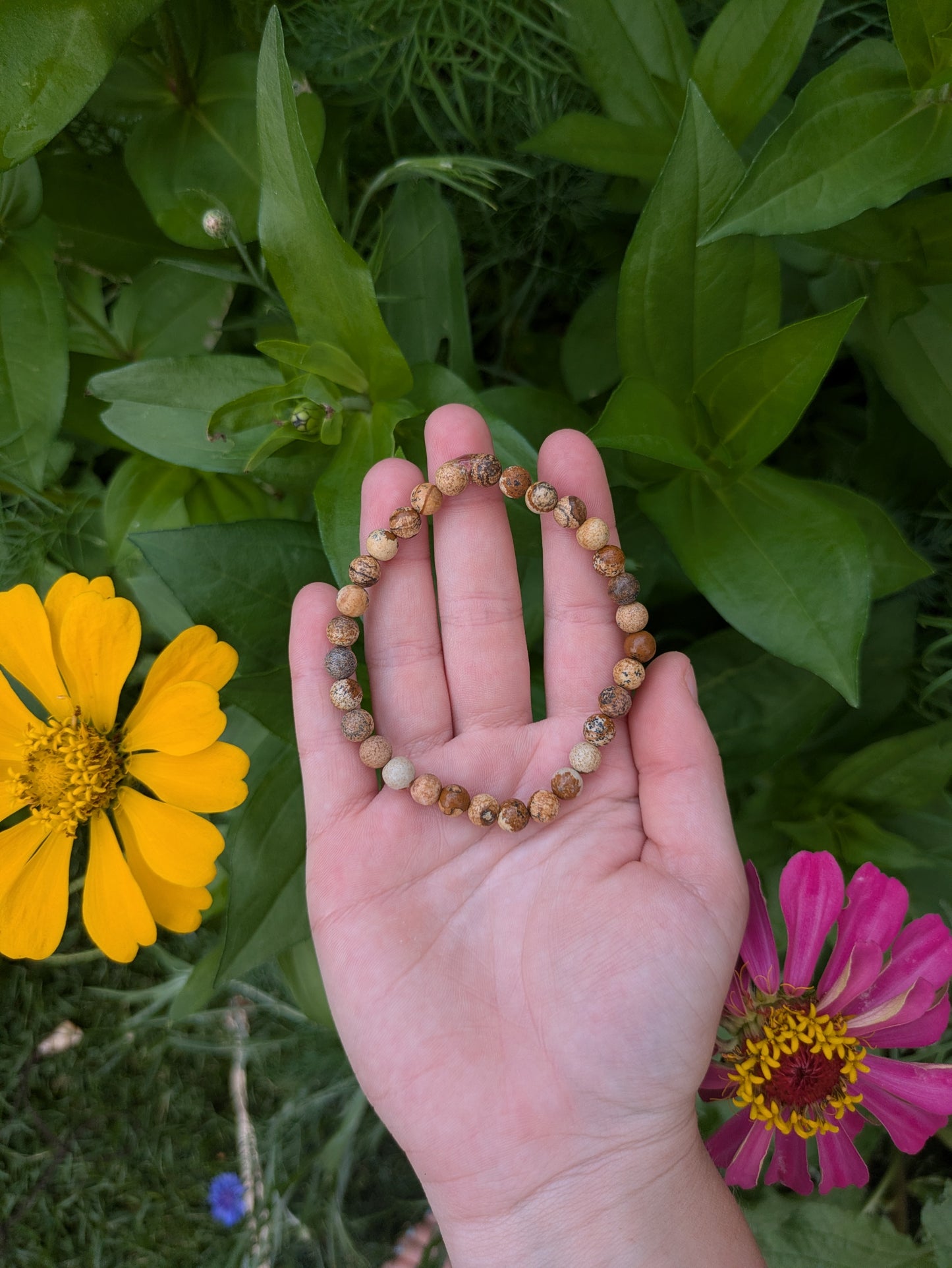Picture Jasper Bracelet