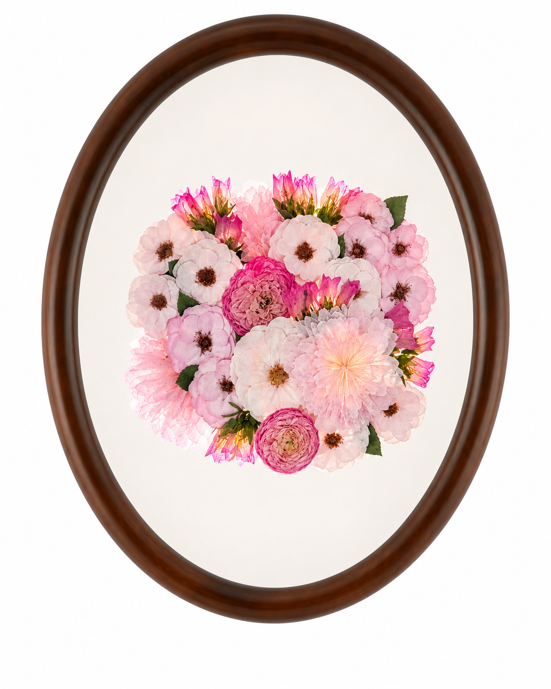 Flora in Full | Walnut Stain | 16x20 & 11x14 | Oval Frame
