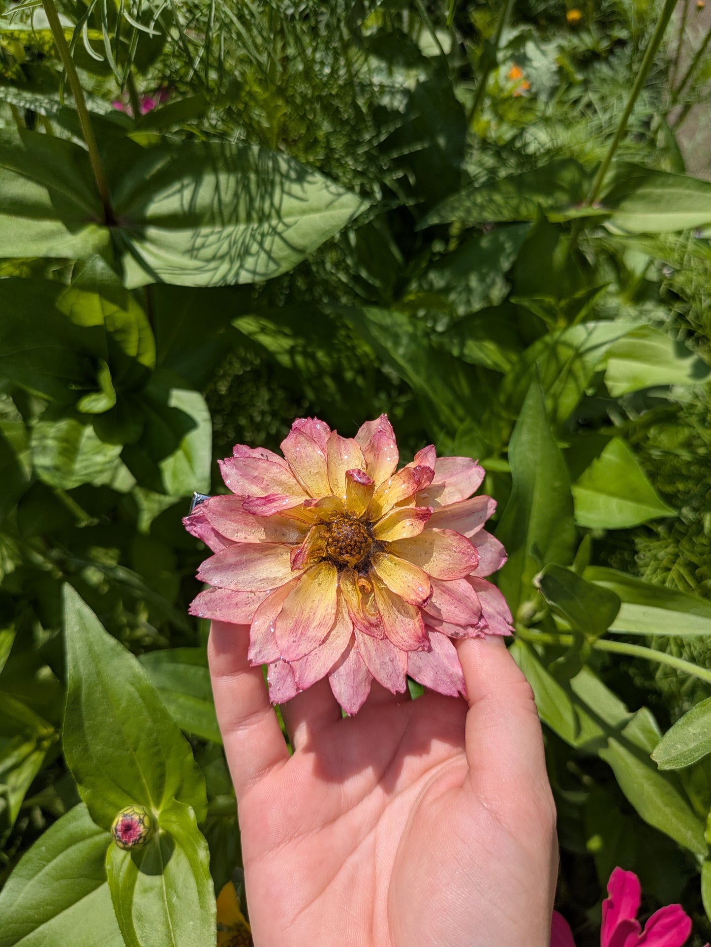 Pink Dahlia Hair Clip