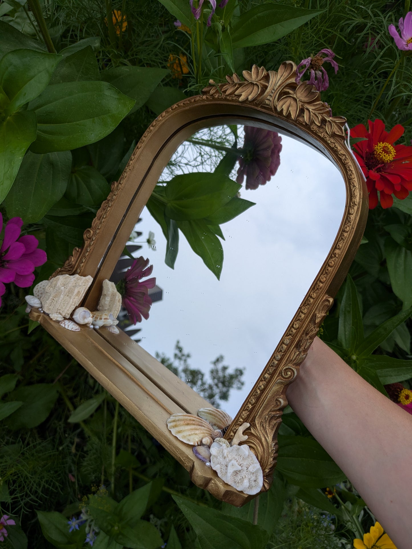 Golden Siren Sea Shell & Coral Mirror