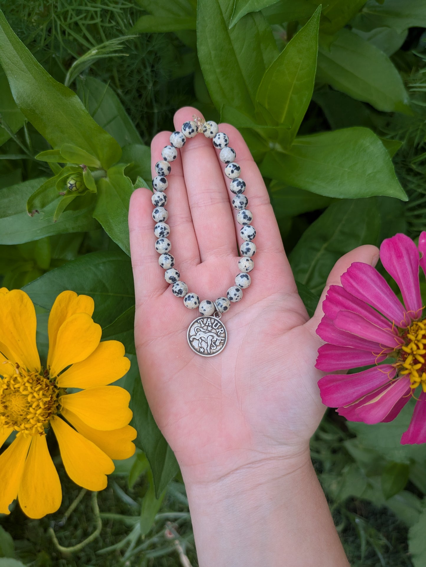 Taurus Dalmatian Jasper Bracelet