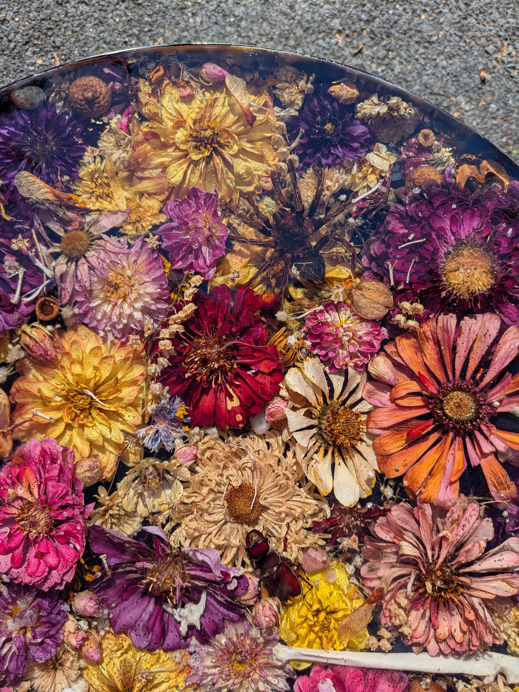 Zinnia Oddity Table 17in tall