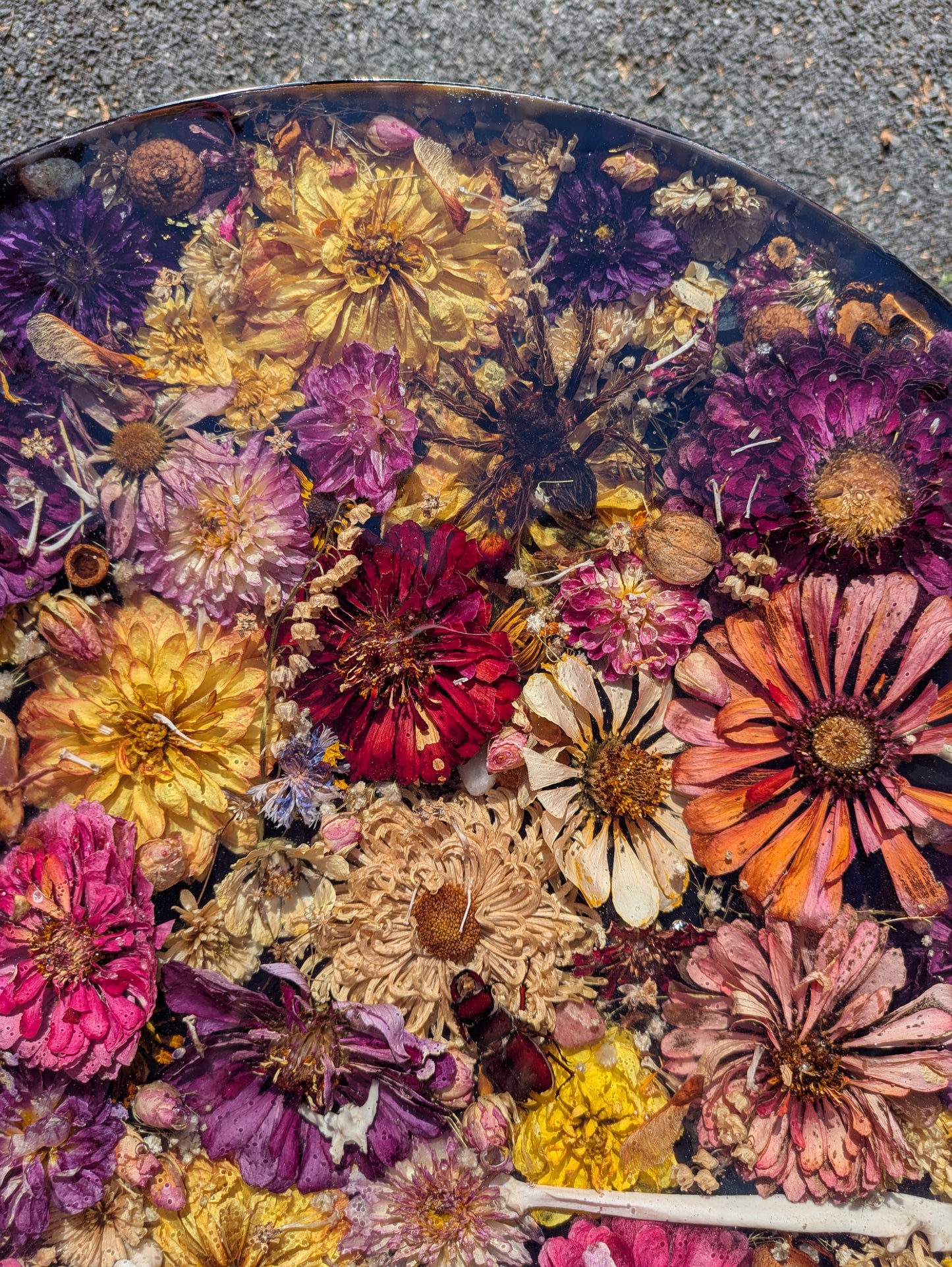 Zinnia Oddity Table 17in tall