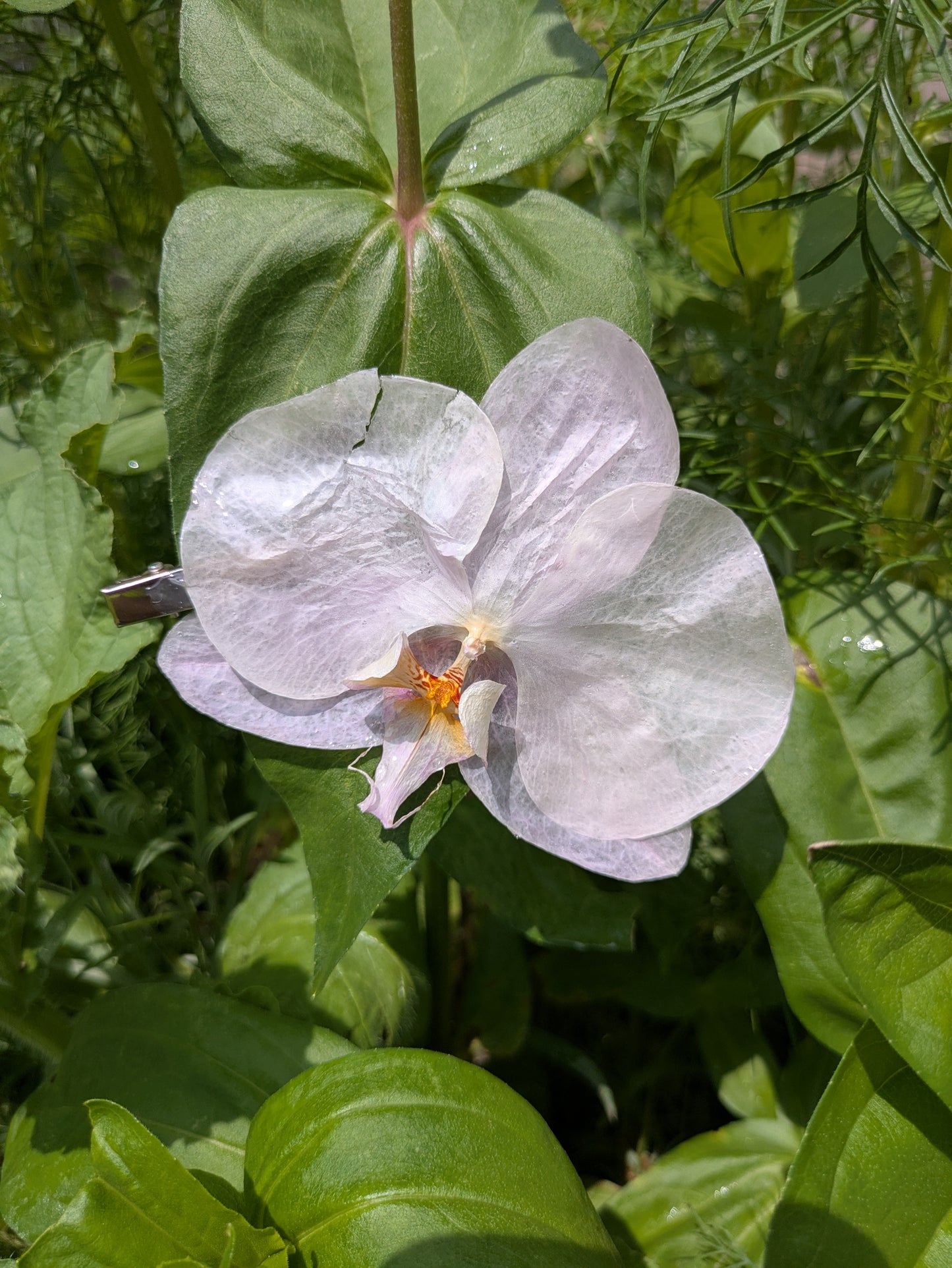 Orchid Hair Clip