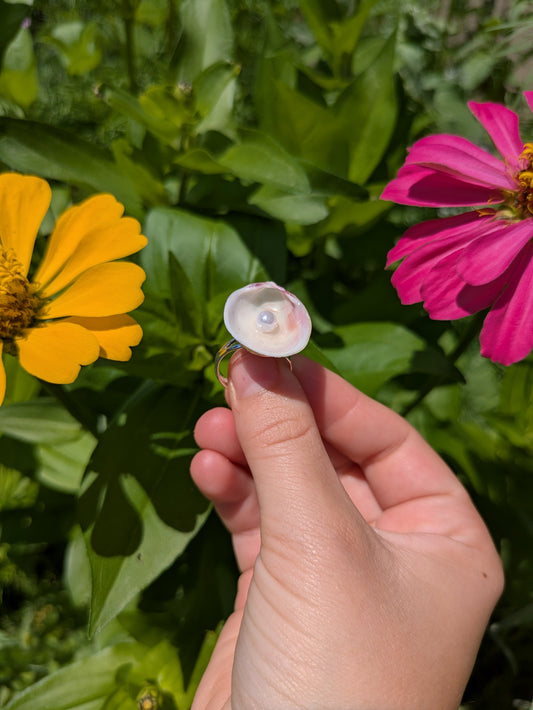 Clam & Pearl Adjustable Silver Ring