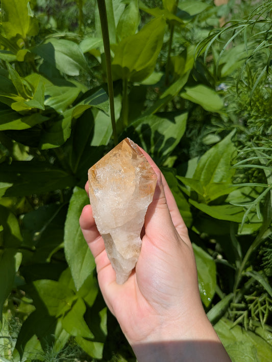 Citrine Point *Heat Treated Amethyst*