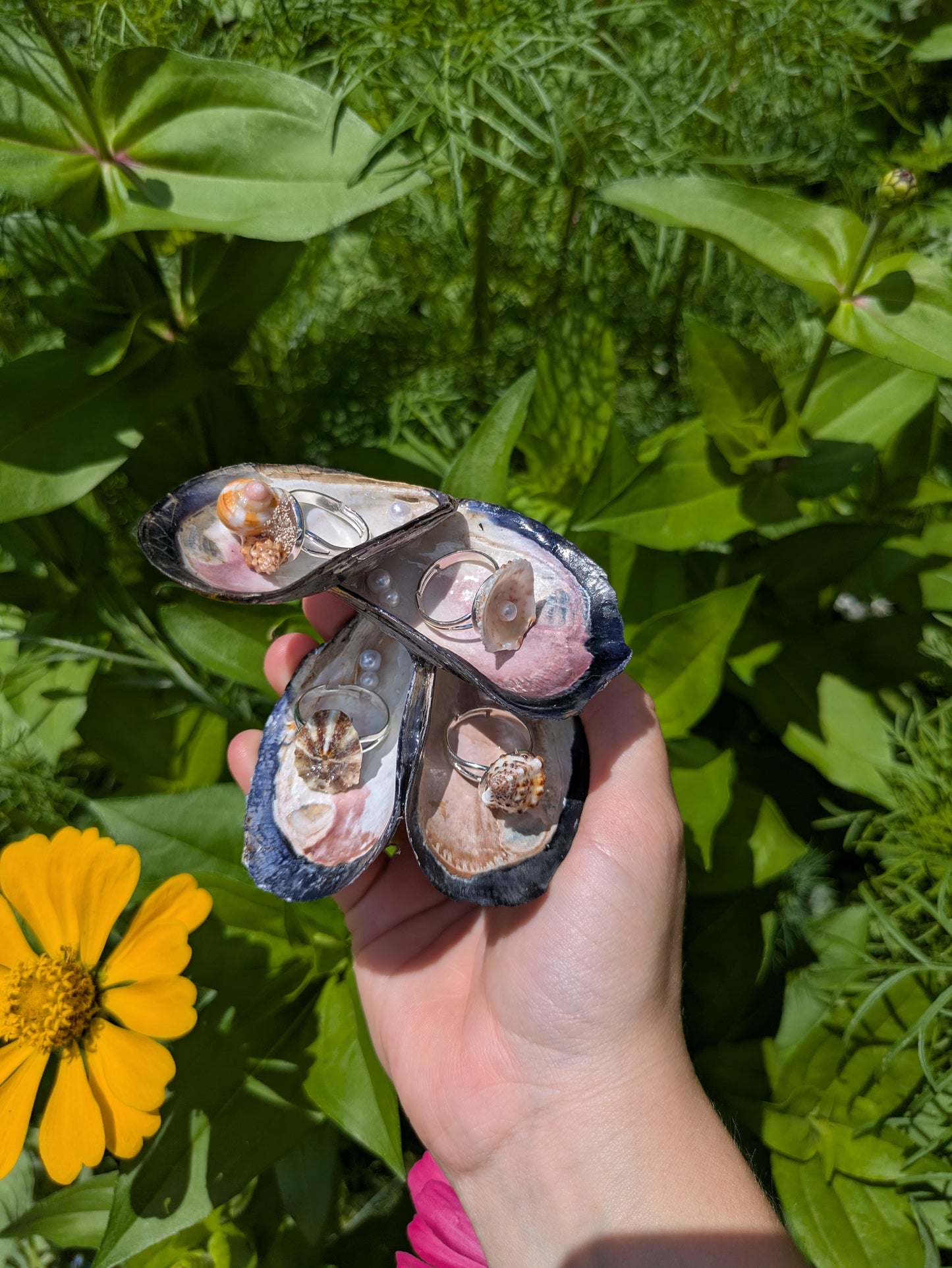 Oyster & Pearl Ring Holder
