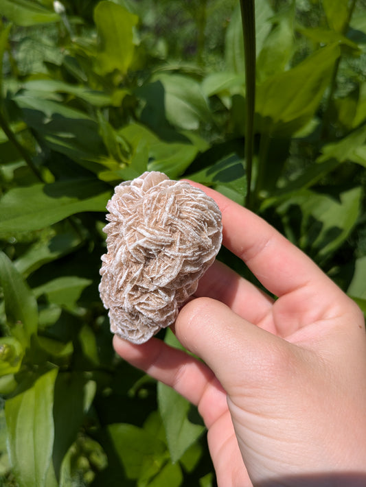 Raw Desert Rose Stone