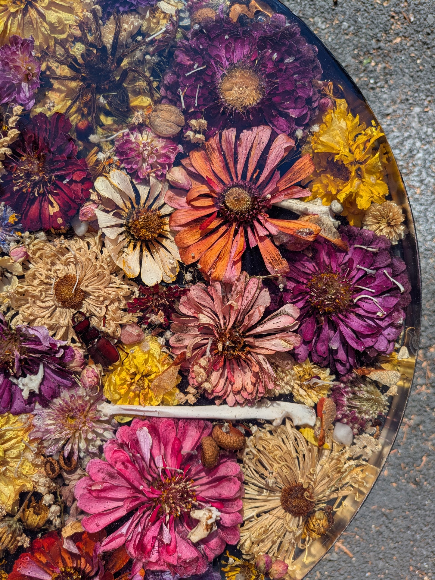 Zinnia Oddity Table 17in tall
