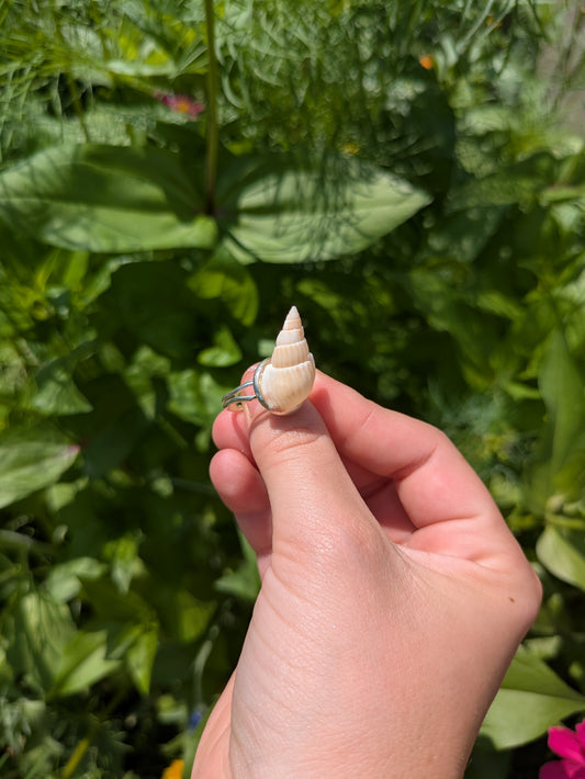 Spiral Shell Adjustable Silver Ring