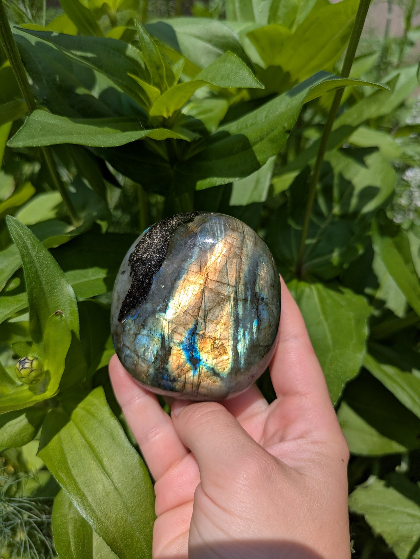 Flashy Polished Labradorite Crystal